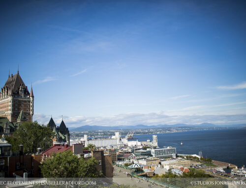 Terrasse Pierre Duguas de Mons