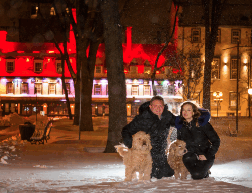 Lisa & Jeffrey, Brookfield, Connecticut: A Quebec City intimate wedding celebrated on Thursday, December 14, 2017